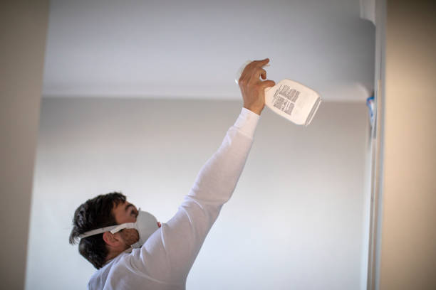 Best Black Mold Removal  in Baden, PA