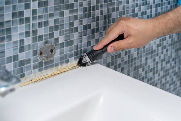 Best Local Mold Removal Service  in Baden, PA