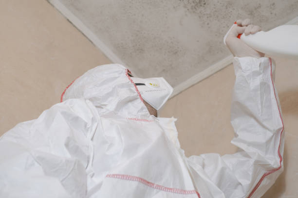 Best Commercial Mold Removal  in Baden, PA